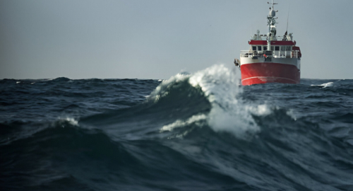 Germania: La Controversa Sospensione dei Fondi alle ONG di Soccorso in Mare